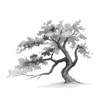 Copilot_20260213_173925